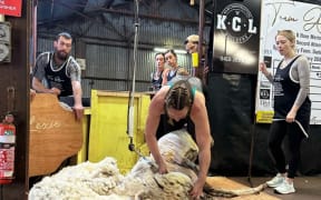 Alexia Phillips breaking the women's world record for sheep shearing in West Australia.