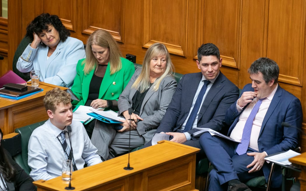Participants during the 2025 Youth Parliament