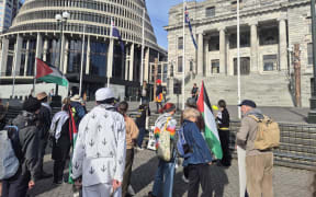 Anti-weapons protest at Parliament
