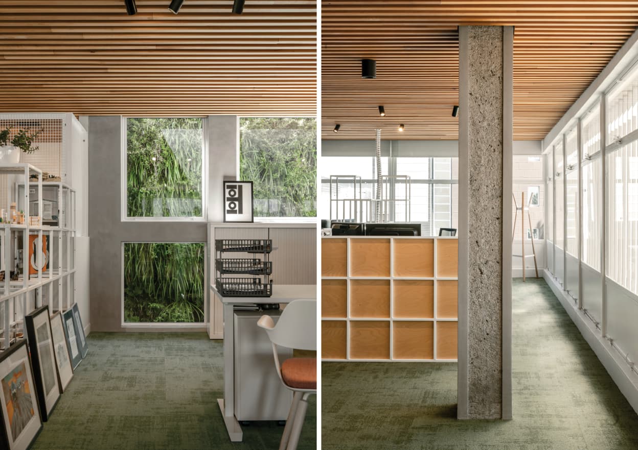 The Constructure Building in Christchurch was designed by Mitchell Coll of Fabric.