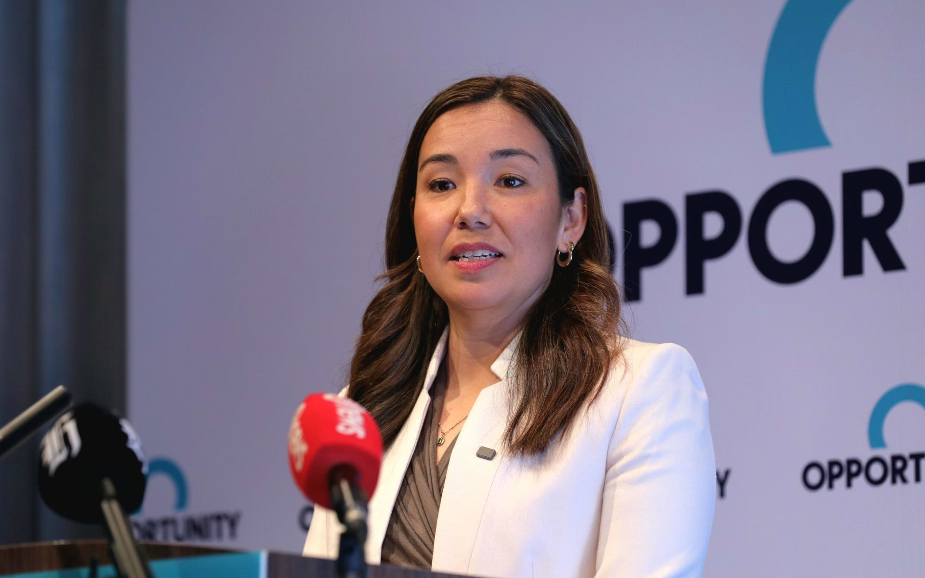 Cover art for Opportunity Party leader says no to current coalition deals
