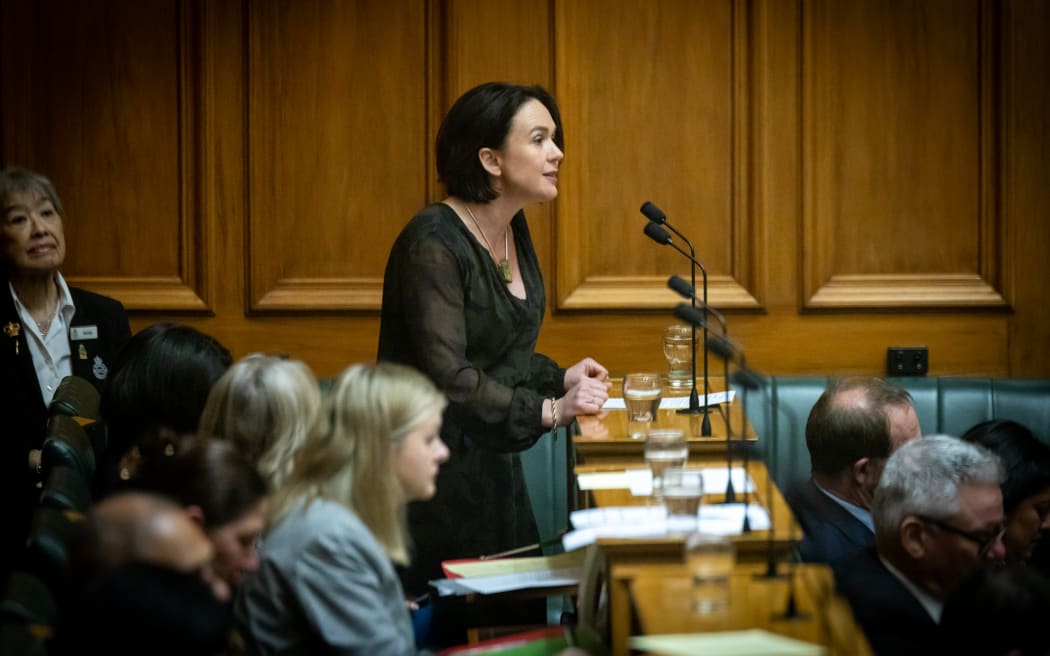 Ginny Andersen talks Police during Question Time in Parliament's Debating Chamber.