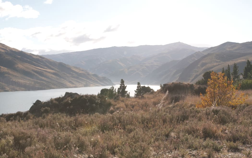 Lake Dunstan in Central Otago.