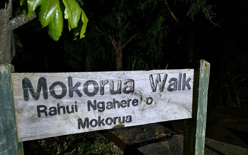 The start of the Mokorua Walk on the outskirts of Whakatāne