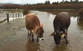Flooding at Aratika on the West Coast on Friday 19 June.