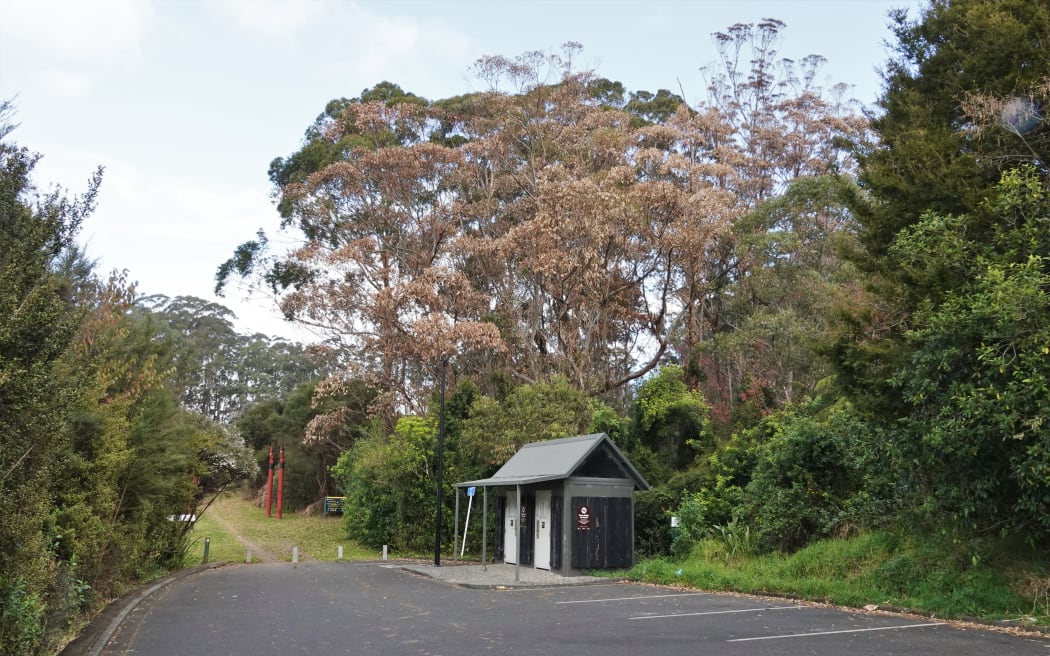 Dead gum trees loom over a car park just uphill from the Stone Store.