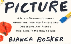 Get The Picture book cover
