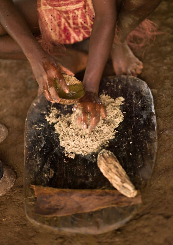 A woman preparing and squeezing kava to drink at a traditional ceremony in Sanma Province, Espiritu Santo, Vanuatu.