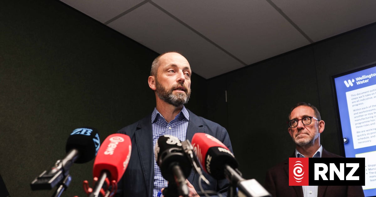 Cause of unsightly Wellington wastewater blockage explained