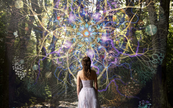 Patterns of Remedy album cover art