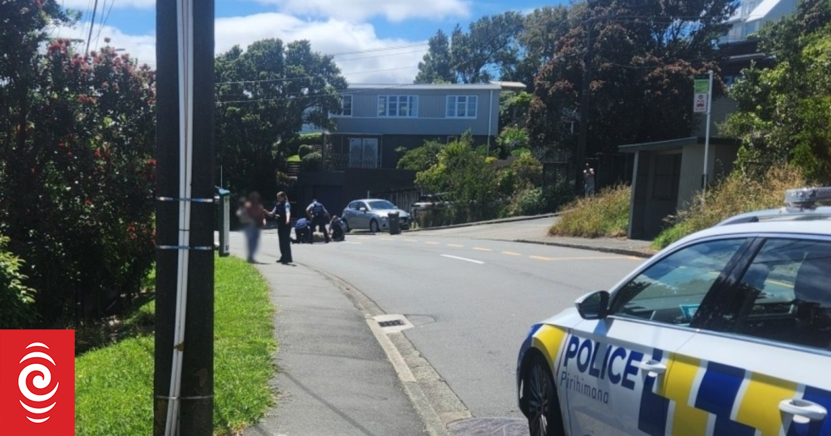 Man wielding hedge trimmer blade who trapped woman, baby was 'violent and not rational' - witness