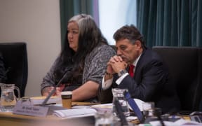 Liane Ngamane and David Taipari, Independent Maori Statutory Board.