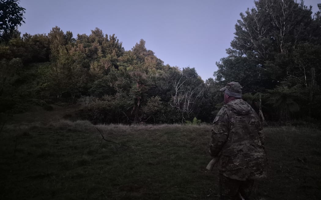 Country Life: The art of deer stalking during the roar | RNZ News