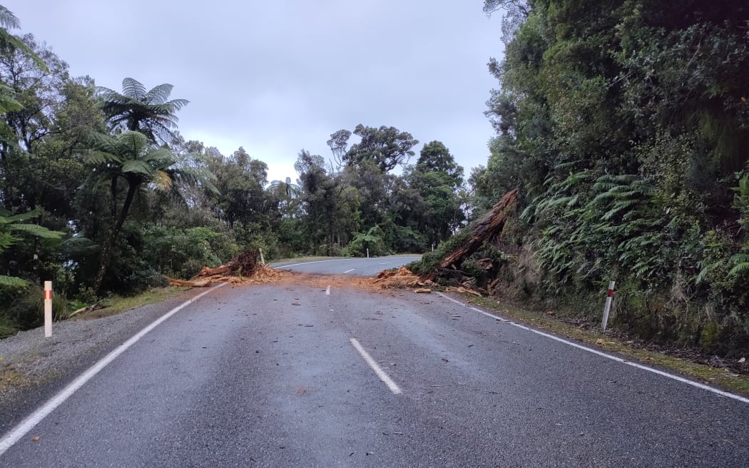 A tree across SHW 6 on Wednesday at 4pm - 1km south of Irimahuwhero Point on the Coast Road – just north of Punakaiki.