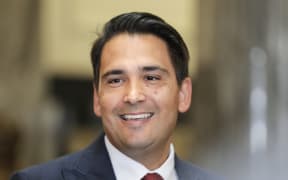 Simon Bridges will stand for National Party leader.