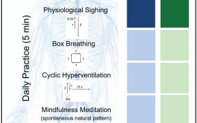 Graphical abstract. Credit: Cell Reports Medicine (2023). DOI: 10.1016/j.xcrm.2022.100895