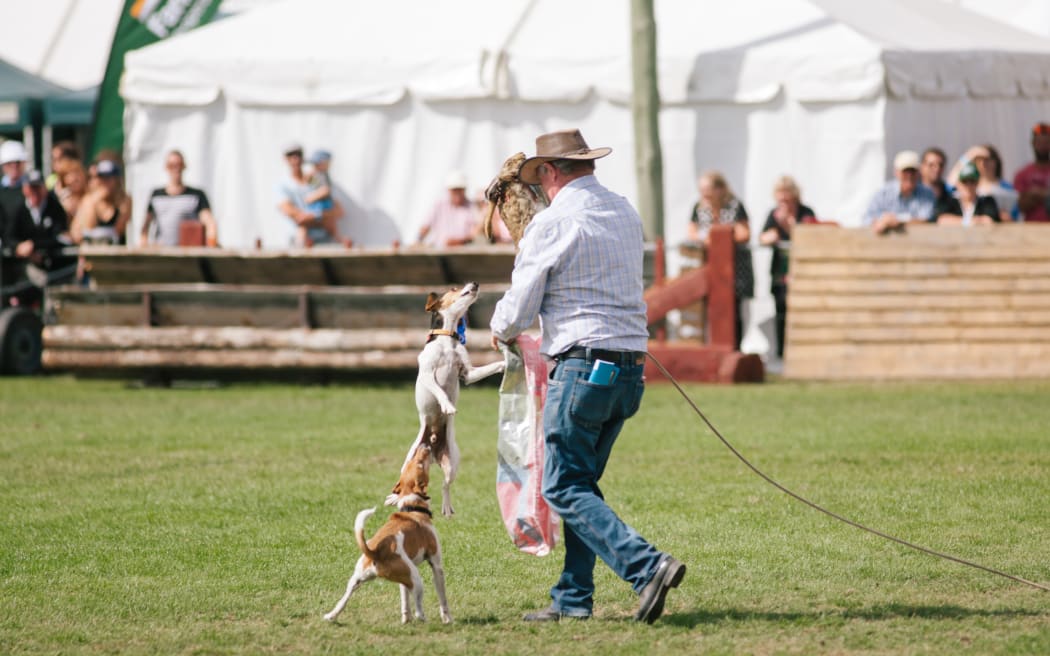Winners of the Jack Russell race excited by their catch