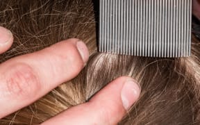 A young school girl is having her hair checked for head lice using a special comb.