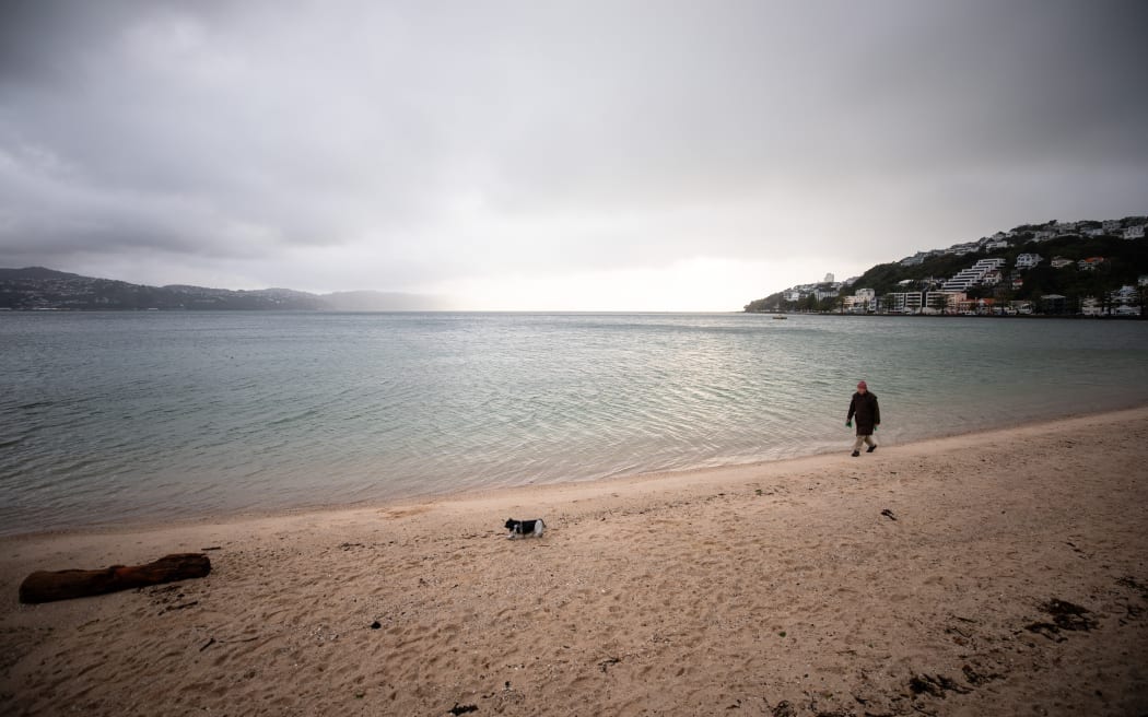 Oriental Bay, Wellington, 31 July 2025. Emergency officials warned the risk of tsumani surges was still very high following an 8.8 earthquake off Russia.