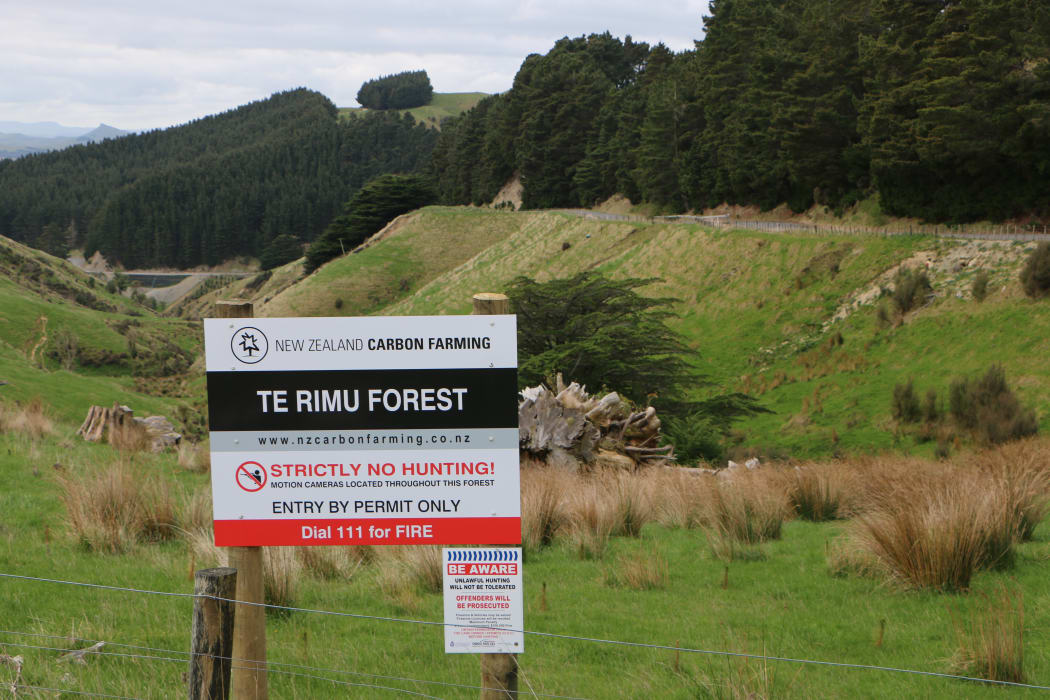 Former Te Rimu Station in the Tararua district has been purchased by New Zealand Carbon Farming and converted to forestry
