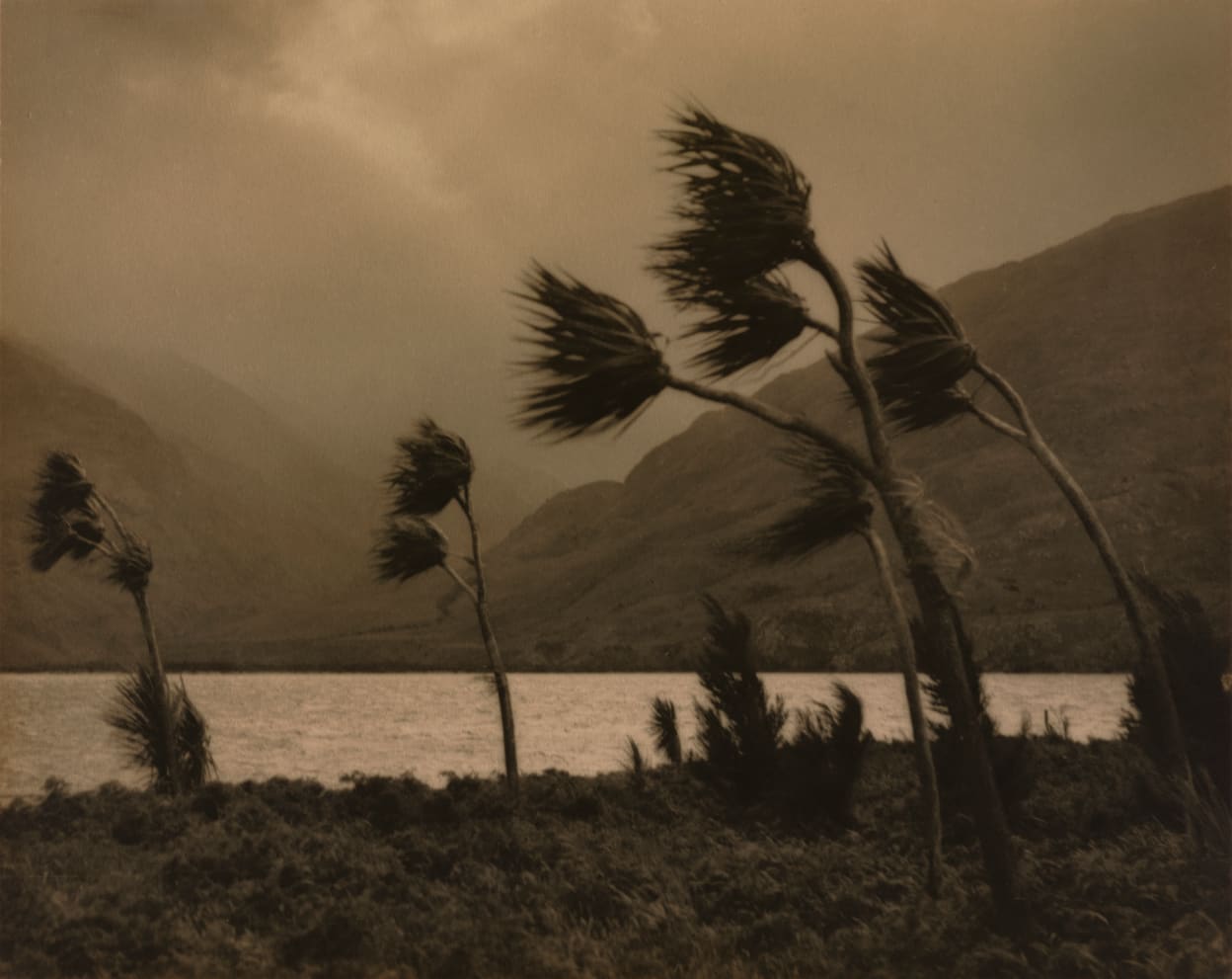 The storm – Wanaka, c. 1940.
