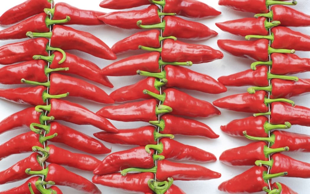 France, Pyrenees Atlantiques, Basque Country, Itxassou, strings of Espelette PDO chilli peppers drying on a facade of a Labourdine house (Photo by MAISANT Ludovic / hemis.fr / hemis.fr / Hemis via AFP)