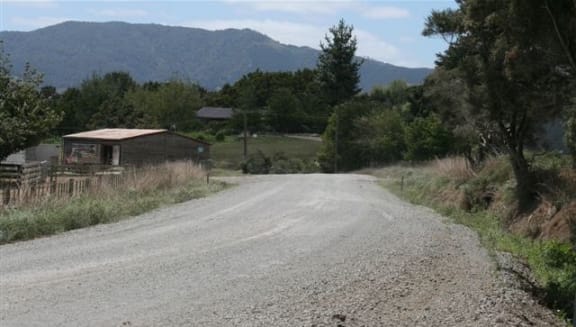 A Northland road before the logging truck passed.
