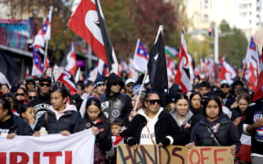 Protestors progress down Queen Street as part of a hikoi