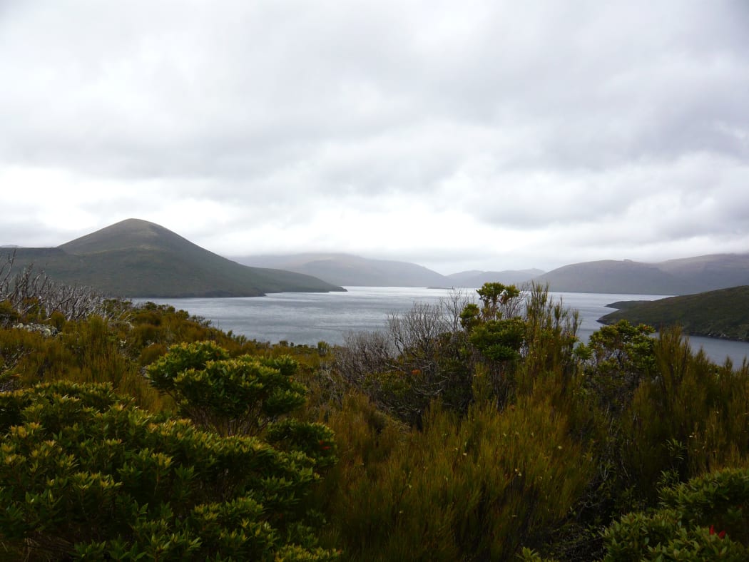 Grazing animals, including cattle and sheep, have been introduced deliberately on several subantarctic islands, including the Auckland Islands, but have since been removed again.