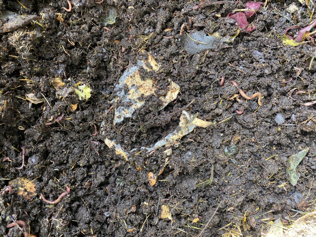 The eco cup being composted.