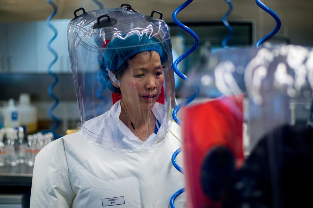 Chinese virologist Shi Zhengli, inside the P4 laboratory in Wuhan.