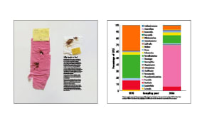 N=1 is an art work by Billy Apple. The left hand panel contains used toilet tissue from 1970 and 2016, and the bar graphs show the different proportions of microbes present in those two samples.