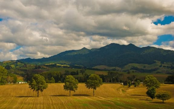 Mt Pirongia