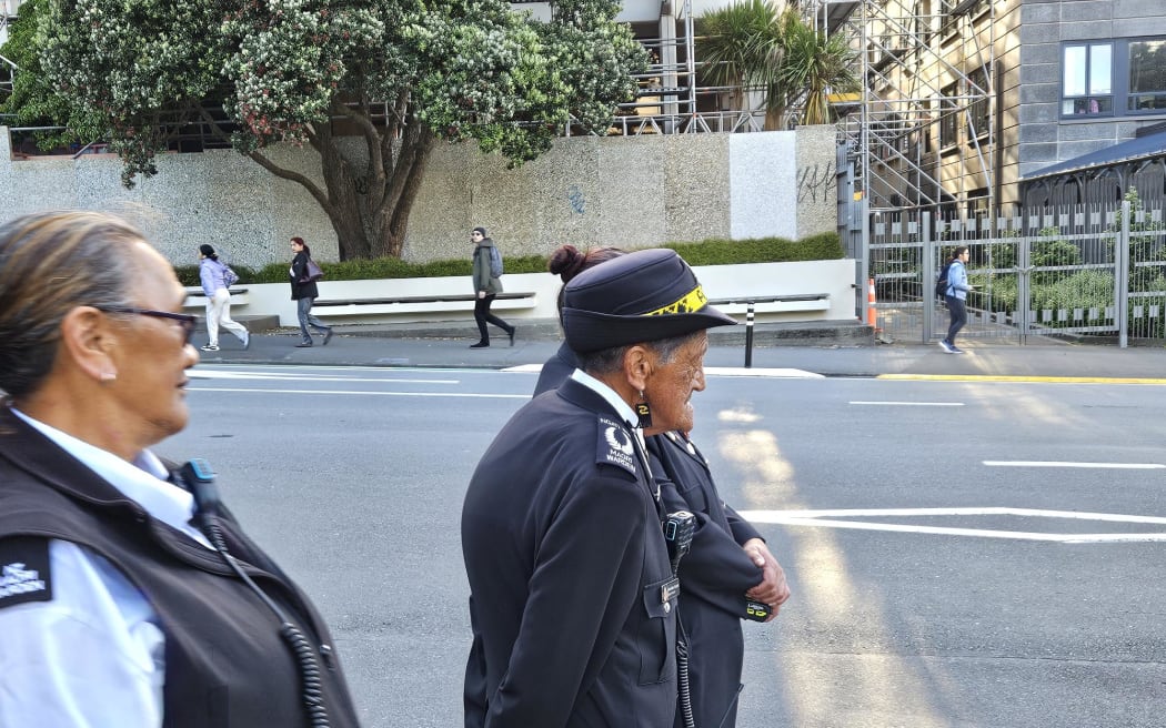 Hikoi in welly