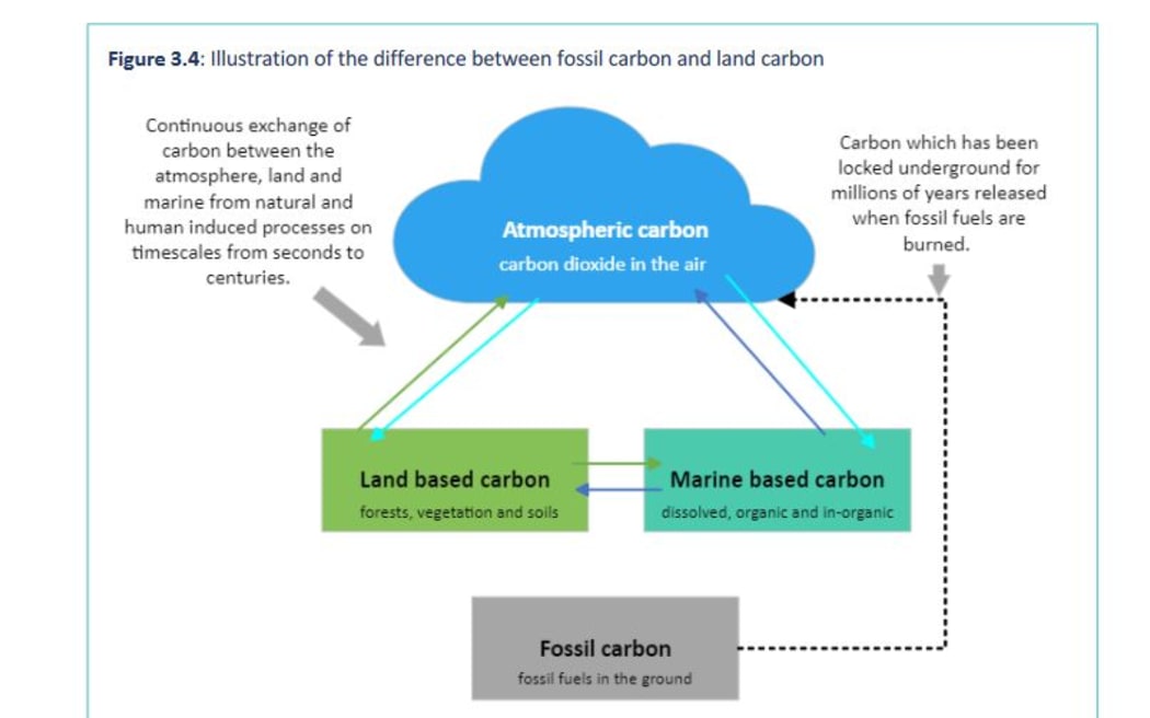 Illustration showing the difference between fossil carbon and land carbon.