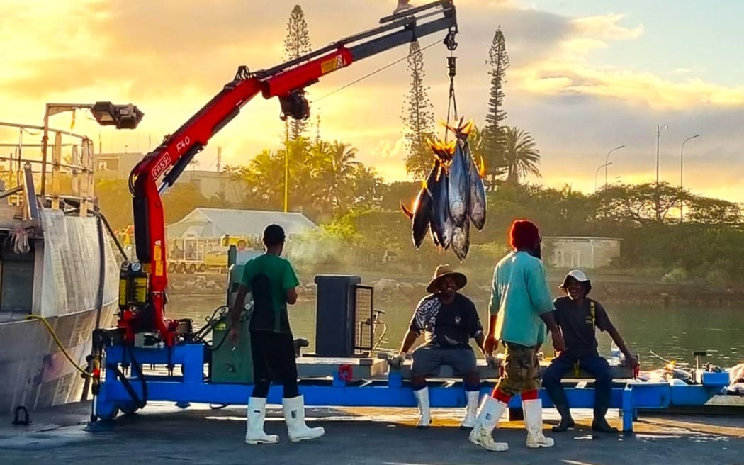 Tuna fisheries industry in New Caledonia.