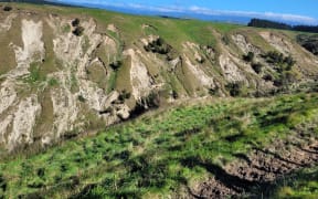 Cyclone Gabrielle caused massive slips across the East Coast and Hawke's Bay regions.