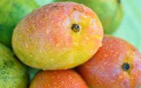 It's Mango season in India