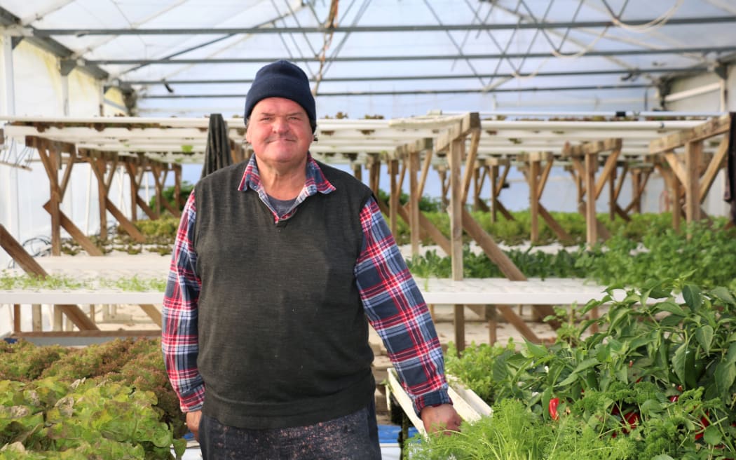 The lettuce man