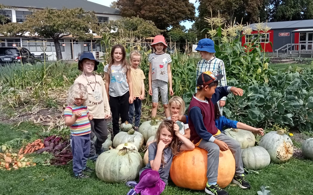 Green learning hub grows on red zone land RNZ