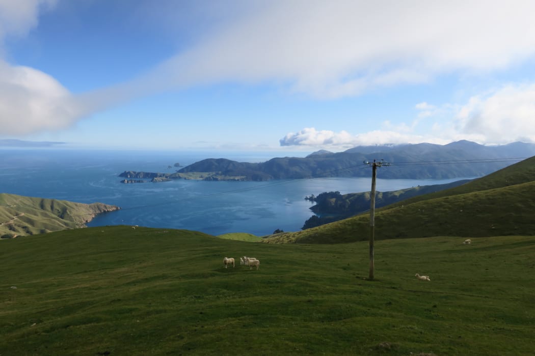 A new environment plan sets out requirements for all Marlborough Sounds homes to check their wastewater systems every five years or join a community scheme.
