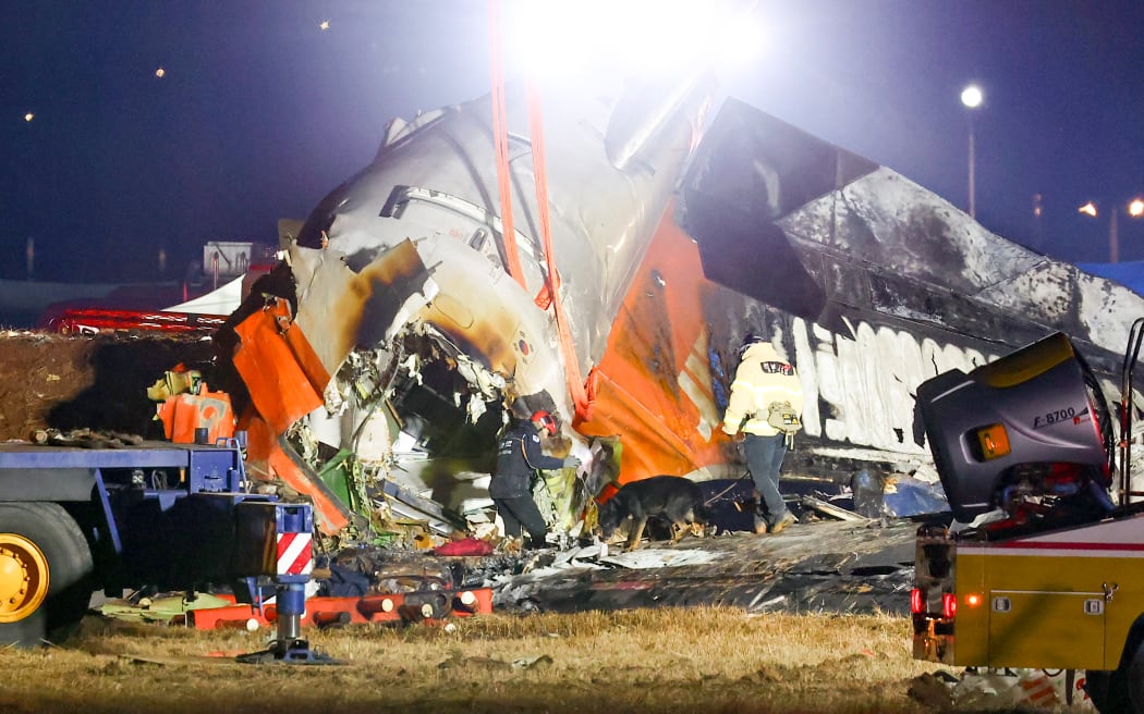 Experts question bird strike as cause of deadly South Korean plane