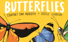 Secret World of Butterflies