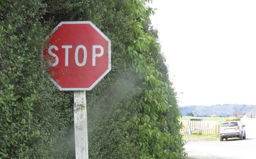 The stop sign was party obscured by foliage. HAMISH MCNEILLY / STUFF