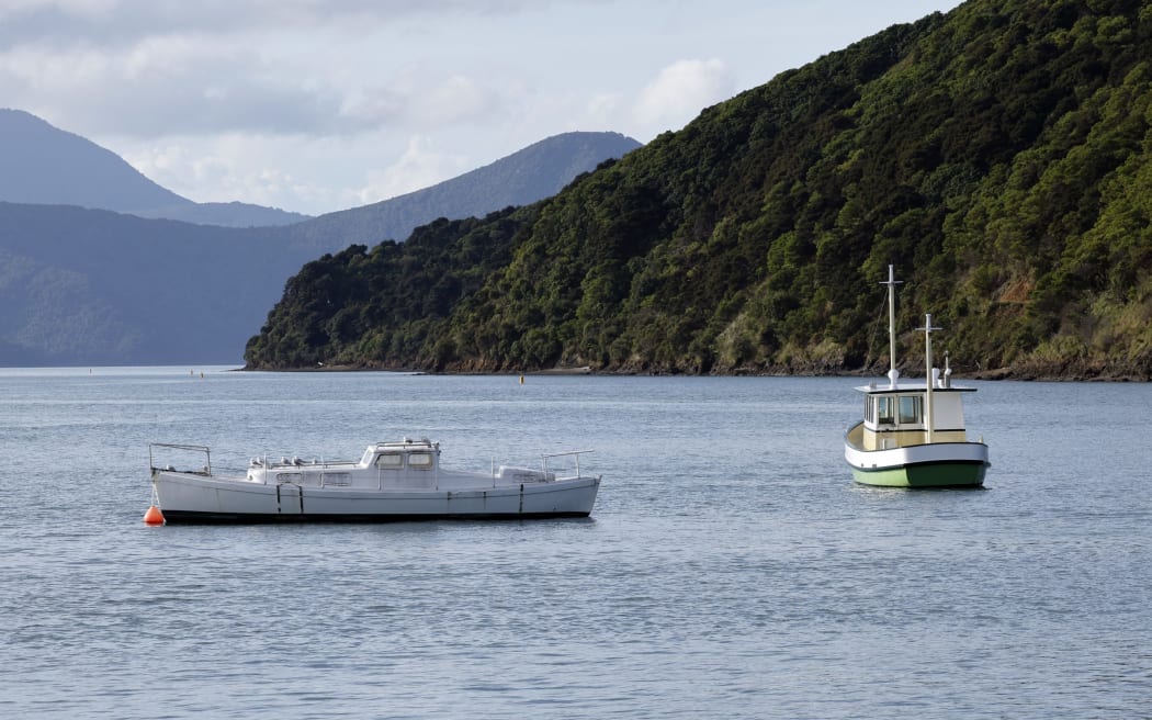 Marlborough Sounds - single use only