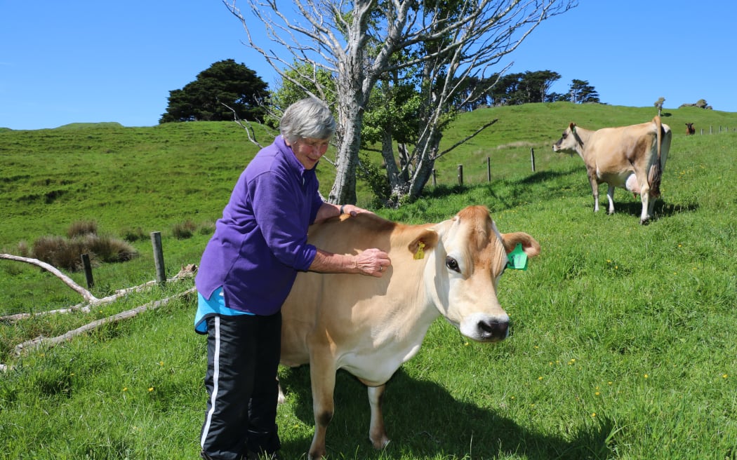 Kaihoka Farm