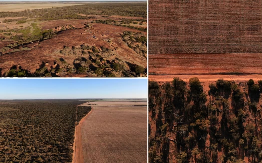 A collage of drone photos taken north of Beacon shows the terrain in the area where Ms Wilga went missing. (ABC News: Mitchell Edgar)