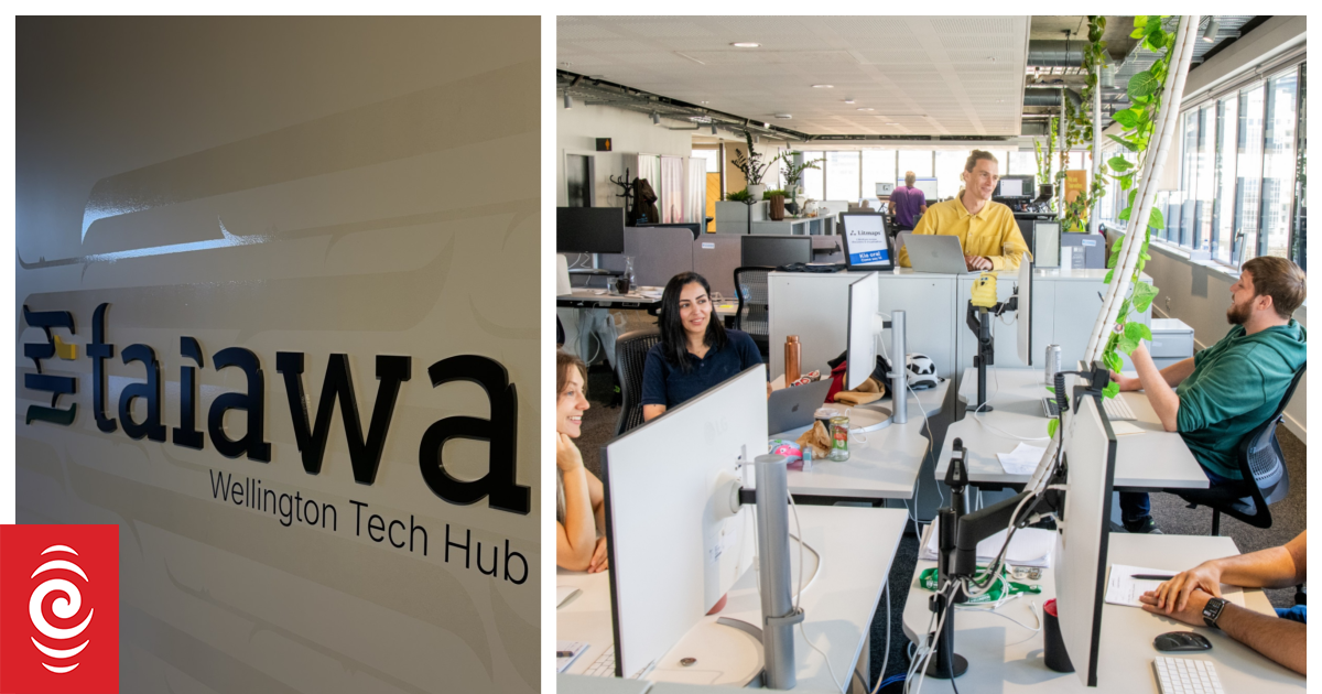 Tech hub in the capital creates jobs | RNZ