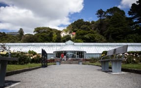 Begonia House in Wellington's botanical gardens