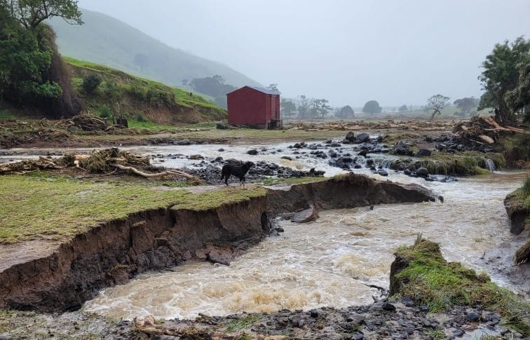 Flooding in Goughs Bay, December 2021.